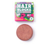 Champú Shower Blocks Solid Shampoo - Mint & Grapefruit rojo