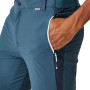 Pantalones cortos de hombre Regatta Mountain ShortsII M