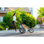 Remolque para bicicleta Thule Chariot Cross1