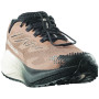 Calzado de hombre Salomon Aero Blaze 4 Grvl