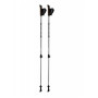 Bastones de caminata nórdica Blizzard Alu Performance nordic walking poles negro silver/black