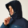 Chaqueta de hombre Regatta Thornridge