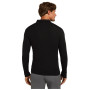 Camiseta funcional de hombre Icebreaker M 175 Everyday LS Half Zip