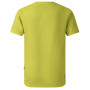 Camiseta para niños Dare 2b Amuse III Tee Frgle Sprout