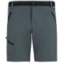 Pantalones cortos de hombre Regatta Xert Stretch Shorts gris Dark Storm