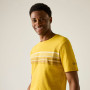 Camiseta de hombre Regatta Rendro