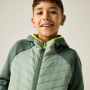 Chaqueta para niños Regatta Junior Andreson Hybrid