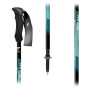 Bastones de senderismo Fizan Compact