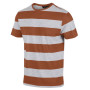 Camiseta de hombre Regatta Brayden rojo/gris GingerbrdStr