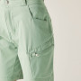 Pantalones cortos para niños Dare 2b Reprise III Short Glacier Green