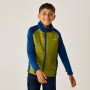 Chaqueta para niños Regatta Boys Trekktain 3-in-1 II AvBlu/GldCyp