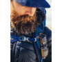 Mochila de hombre Gregory Zulu 30 2023