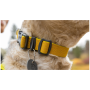 Collar para perro Ruffwear Hi & Light™ Collar