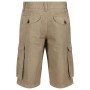 Pantalones cortos de hombre Regatta Shorebay Short