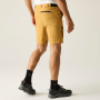 Pantalones cortos de hombre Regatta Anti-Insect Travel Light Shorts