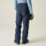 Pantalones de hombre Dare 2b Achieve III Pant regular