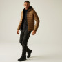 Chaqueta de hombre Regatta Hooded Marizion