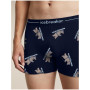Calzoncillos bóxer funcionales para hombre Icebreaker Men M 150 Anatomica Boxers BearTourAOP
