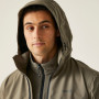 Chaqueta de hombre Regatta Bosfield III