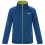 Sudadera para niños Regatta Junior Newhill Aviator Blue Golden Cypress azul AvBlu(GldCy)