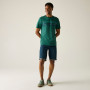 Camiseta de hombre Regatta Rendro