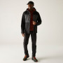 Chaqueta de hombre Regatta Maland II