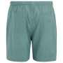 Pantalones cortos de hombre Regatta Hadlin Shorts