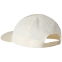 Gorra The North Face Summer Lt Trucker