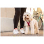 Arnés para perro Curli Vest Clasp Air-Mesh