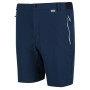Pantalones cortos de hombre Regatta Mountain ShortsII