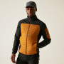 Chaqueta de hombre Regatta Ceden Hybrid