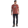 Camiseta de hombre Icebreaker Men Tech Lite II SS Tee Trailhead