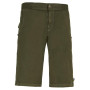 Pantalones cortos de hombre E9 Kroc Flax verde Musk