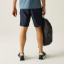 Pantalones cortos de hombre Regatta Arlery Shorts