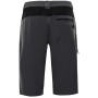 Pantalones cortos de hombre Alpine Pro Cuom (2020)