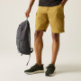 Pantalones cortos de hombre Regatta Ruwan Shorts