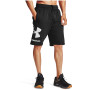 Pantalones cortos de hombre Under Armour Rival FLC Big Logo Shorts