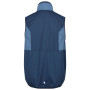 Chaleco de hombre Regatta Lankin V