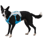 Arnés para perro Ruffwear Swamp Cooler Harness
