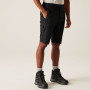 Pantalones cortos de hombre Regatta Highton Shorts Long II