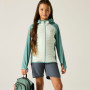 Chaqueta para niños Regatta Junior Andreson Hybrid IvyMossOMist