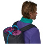 Mochila Patagonia Fieldsmith Linked Pack