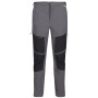 Pantalones de hombre Regatta Questra IV gris DkGrey/Black