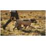 Ropa perro Ruffwear Timberline Fuse™ Fleece Vest