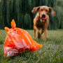 Bolsas para excrementos de perros Explorer Dog Eko Exbags 60 ks