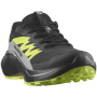 Zapatillas de carrera para hombre Salomon Alphaglide Gore-Tex
