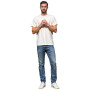 Camiseta de hombre Alpine Pro Dorg
