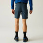 Pantalones cortos de hombre Regatta Xert Stretch Shorts