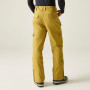 Pantalones de hombre Dare 2b Baseplate Insulated Pant