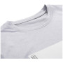 Camiseta de hombre Alpine Pro Goraf 2